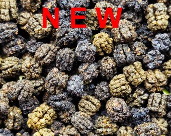 Caterpillar manure as a safe organic fertilizer. Insect farm produce.