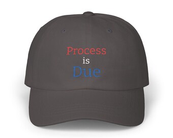 Process is Due Dad Cap | Embroidered Slogan Hat