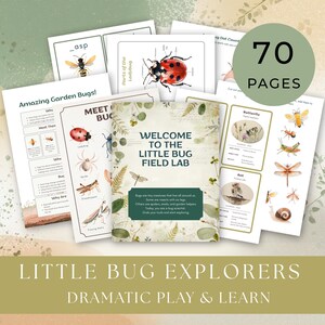 Può includere: Materiale didattico per bambini, con illustrazioni di insetti e il testo "Welcome to the Little Bug Field Lab". I materiali includono flashcard, grafici e una copertina con "Little Bug Explorers, Dramatic Play & Learn".