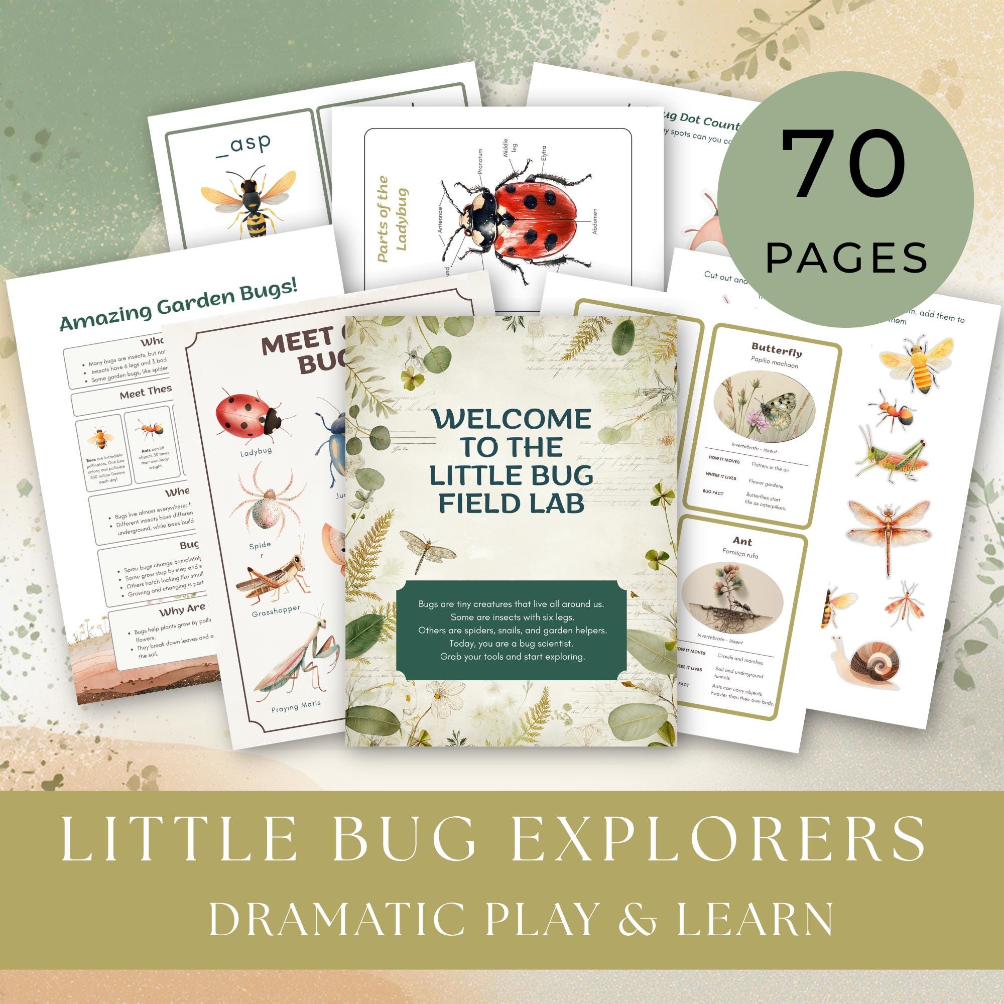Bug Explorers Play and Learn Pack, Dramatic Play and Preschool ...