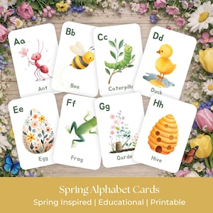 Könnte beinhalten: Frühlings-Alphabetkarten-Set mit Aquarellillustrationen von Ameise, Biene, Raupe, Ente, Ei, Frosch, Garten und Bienenstock. Jede Karte zeigt einen Buchstaben und das entsprechende Wort. Die Karten sind von Blumen umgeben.