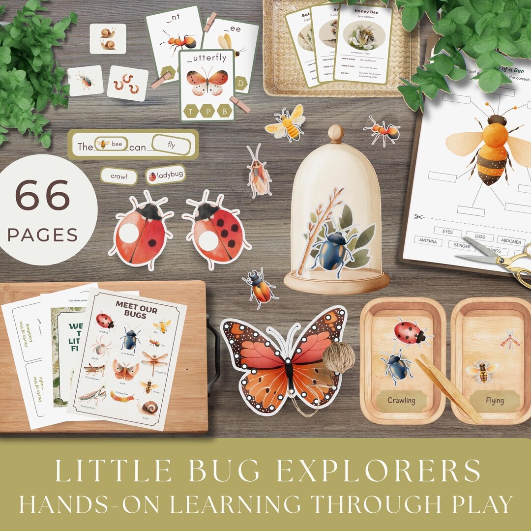 Bug Explorers Play and Learn Pack, Dramatic Play and Preschool ...