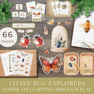 Bug Explorers Play and Learn Pack, Dramatic Play and Preschool Activities (PDF Format)