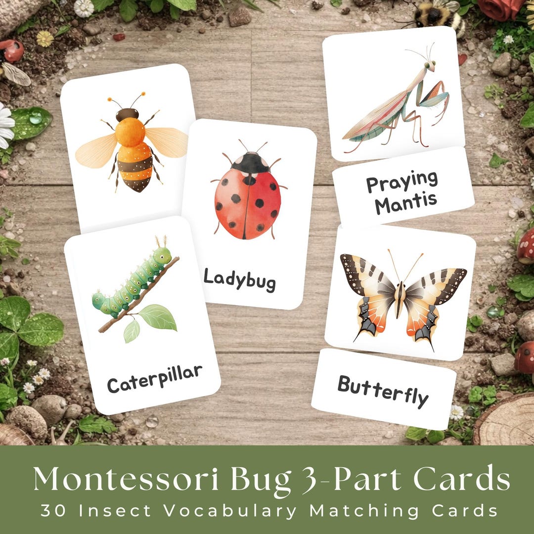 Montessori Bug 3-part Cards Printable, Insect Vocabulary Matching Cards ...