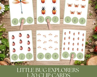 Tarjetas recortables de insectos y bichos (1-20), actividad matemática preescolar, juego imprimible para contar, descarga instantánea