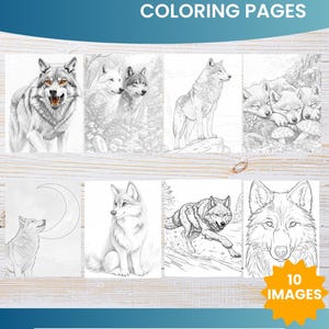 Peut inclure: Dix pages de coloriage avec des illustrations détaillées de loups dans différentes poses. Les pages mesurent 21,6 cm x 27,9 cm et comportent le texte "Cute Wolf Coloring Pages" et "10 Images".