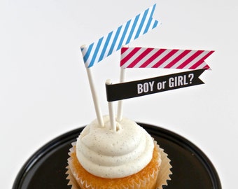 Baby Gender Reveal Party Flags - Printable PDF