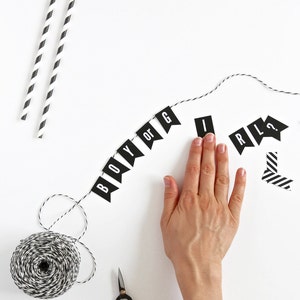 Baby Gender Reveal Mini Cake Bunting - Printable PDF - Etsy