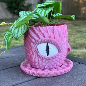 Crying Dragon Planter