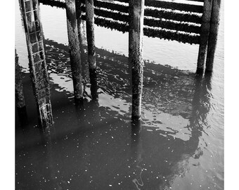 Barnacle Encrusted Pilings, Study 1_8x10 Giclee Print