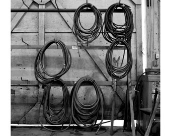 Six Coiled Hoses_8x10 Giclee Print