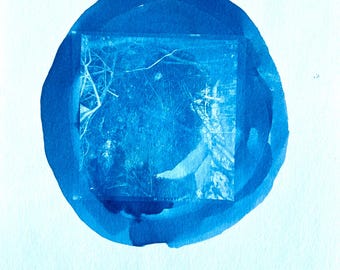 Nature at Night - Cyanotype from Vintage Film Negatives