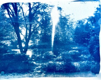 Backyard Bliss - Cyanotypie vom bedruckten Dia