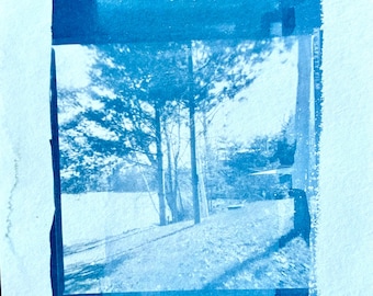 Tree 1 - Cyanotype from Vintage Film Negatives
