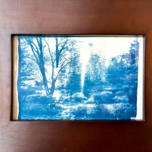 May include: A framed cyanotype print depicting a serene landscape. The image features trees, foliage, and a pathway, all rendered in shades of blue. The print is encased in a brown wooden frame, adding a rustic touch to the artwork.