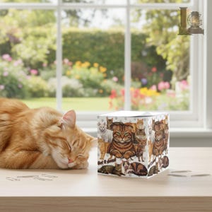 May include: An orange tabby cat sleeps next to a white cube adorned with cat illustrations. The cube features the text "Get it done". A window with a garden view is visible in the background.