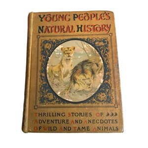 Rare Antique Book Young People&#39;s Natural History
