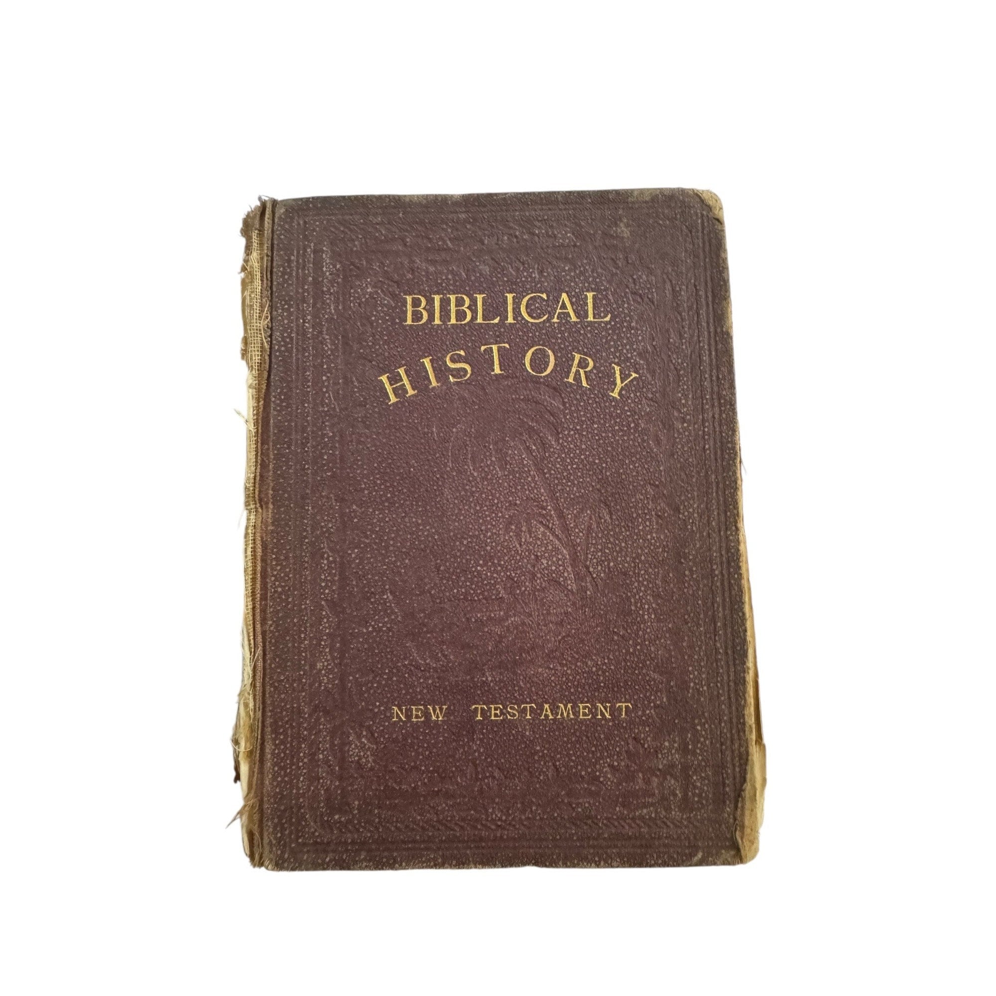 Antique 1880 Bible - Etsy