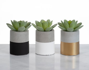 Single Concrete Mini Planter- Hand Painted- Round