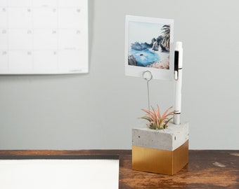 Concrete Desk Pencil Holder, Air Plant Pot, Picture Holder, Painted Gold Band