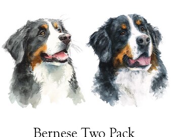 Bernese Mountain Dog Watercolor Set of 2 – Digital Download Prints