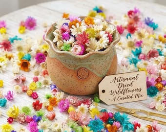 Kit di 300 mini fiori secchi, piccoli fiori pressati per arte con resina, creazione di gioielli, candele, saponi e lavori fai da te.