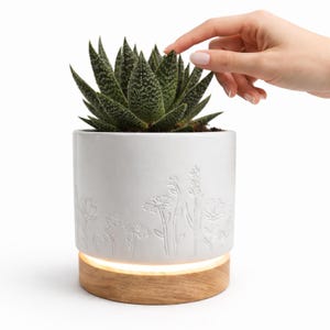 May include: A white ceramic planter with embossed floral designs, holding a green succulent. The planter sits on a wooden base with a warm, glowing light. A hand gently touches the plant.