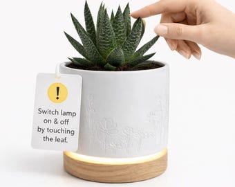 Magic Plantern - Real Plant Leaf Touch Activated 6inch Ceramic Magic Planter Lamp With Dimmable Light