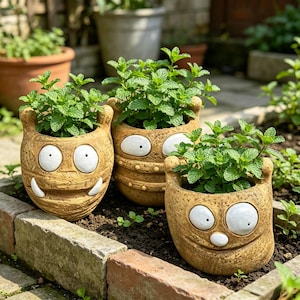 May include: Three tan, textured ceramic planters shaped like cartoon monsters with large white eyes and small white teeth, each containing a vibrant green mint plant. The planters have rounded bodies and small ear-like protrusions on top.
