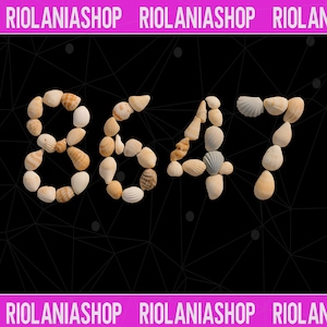Peut inclure: Le chiffre "8647" est formé de divers coquillages sur un fond noir avec un motif géométrique. Les coquillages sont dans des tons beige, marron et blanc. Le haut et le bas de l'image présentent le texte "RIOLANIASHOP" dans une bannière rose.