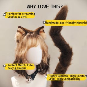 May include: A set featuring brown and blonde faux fur cat ears on a headband, a matching long brown faux fur tail, and a black faux leather choker with a silver bell. The text WHY LOVE THIS? is at the top with four yellow text boxes.