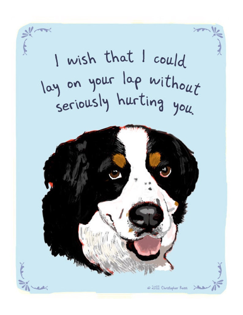 Bernese Mountain Dog 5x7 Print of Original Painting with ...