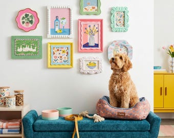 May include: A gallery wall featuring nine colorful framed art prints with various illustrations, a golden-brown dog sitting in a patterned pet bed, a teal upholstered bench, a yellow leash, and two ceramic bowls on a white wall.