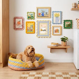 Juego de marcos de fotos coloridos con bordes ondulados, bonitos marcos de fotos estéticos para decoración de pared y mesa, regalo para amantes de las mascotas.