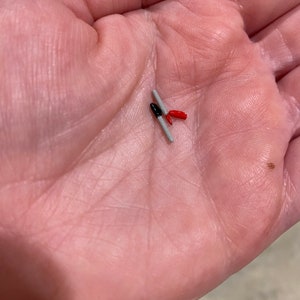 May include: Two small, gray, cylindrical objects with red and black tips. The objects are lying on a person's palm.