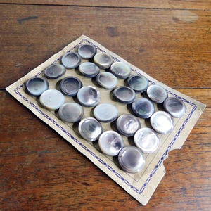 Vintage bruine lipschelp parelmoer knopen originele kaart 24 knoppen