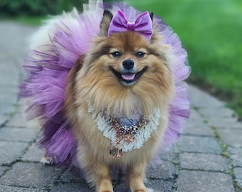 KLAAR OM Dog Tutu te verzenden: Purple Mix (pruim, paars, lavendel) Dog Tutu - Medium