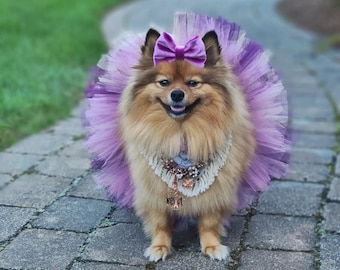 Dog Tutu: Purple Mix Tutu (Pruim, Paars, Lavendel) - Klein, Medium, Groot of XL Hond Tutu - Verjaardag Tutu