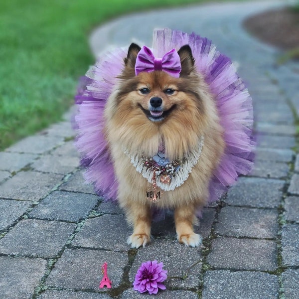 Tutú de perro: Tutú de mezcla púrpura (ciruela, púrpura, lavanda) - Tutú de perro pequeño, mediano, grande o XL - Tutú de cumpleaños