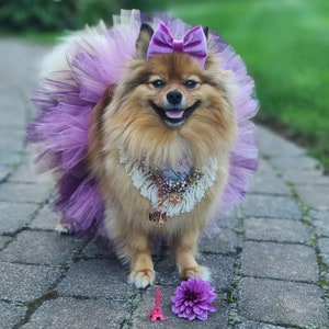 SOFORT LIEFERBAR Hund Tutu: Lila Mix (Pflaume, Lila, Lavendel) Hund Tutu