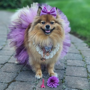 READY TO SHIP Dog Tutu:  Purple Mix (Plum, Purple, Lavender) Dog Tutu - Medium