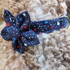 Dog Bow Tie: 4th of July RED with Blue, Black, & White Stars Dog Collar and Bow Tie or Collar Flower image 5