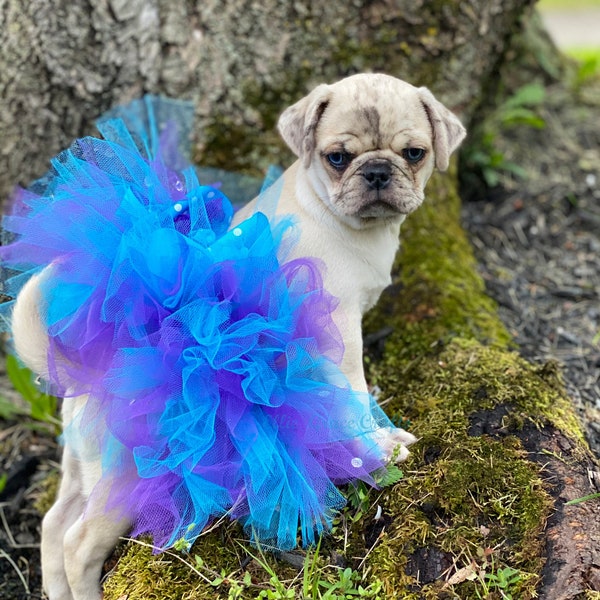 Dog Tutu:  TURQUOISE BLUE & PURPLE   Small / Medium / Large / Xlarge Dog Tutu - Birthday Dog Tutu