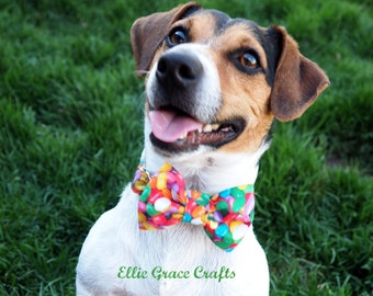 Dog Collar: Easter Dog Collar & Jelly Bow Tie Or Flower - Easter Dog Bow Tie