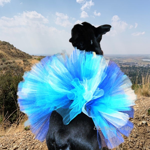Dog Tutu: Mix of Blues -  Small, Medium, Large, or XL - Gender Reveal Party Dog Tutu