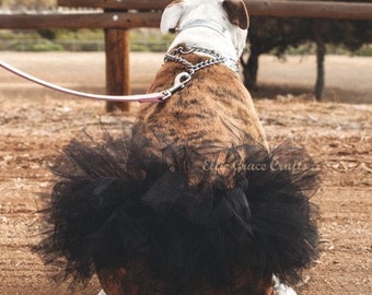 Dog Tutu:  Black Dog Tutu  -  Small, Medium, Large, or XL Dog Tutu