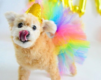 Dog Tutu: Spring Rainbow (Pink, Orange, Yellow, Green, Turquoise, Purple) Dog Tutu