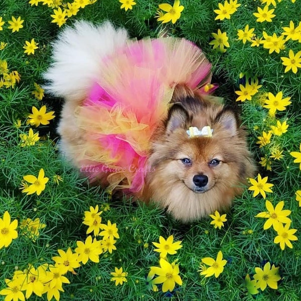Dog Tutu: Pink, Orange, & Yellow - Small, Medium, Large, XL Dog Tutu