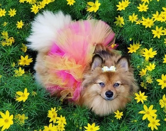 Dog Tutu: Roze, Oranje, &Geel - Small, Medium, Large, XL Dog Tutu