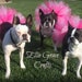 see more listings in the Dog Tutus section